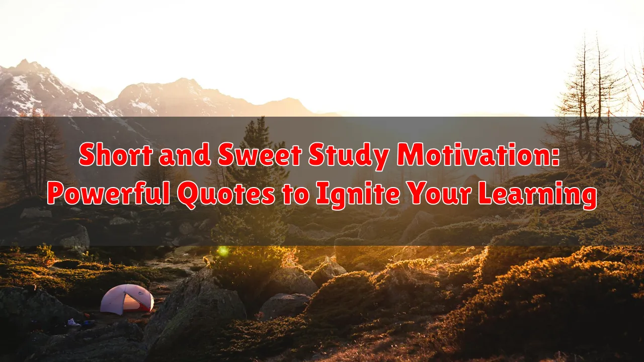Short and Sweet Study Motivation: Powerful Quotes to Ignite Your Learning